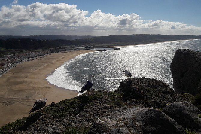 Fátima, Batalha, Nazaré and Óbidos day Tour - FAQs
