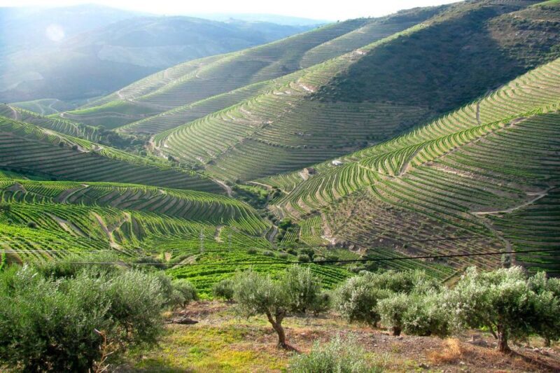 Fatima, Batalha, Nazare, Obidos Private Full Day Tour - Final Thoughts: Is This Tour Worth It?