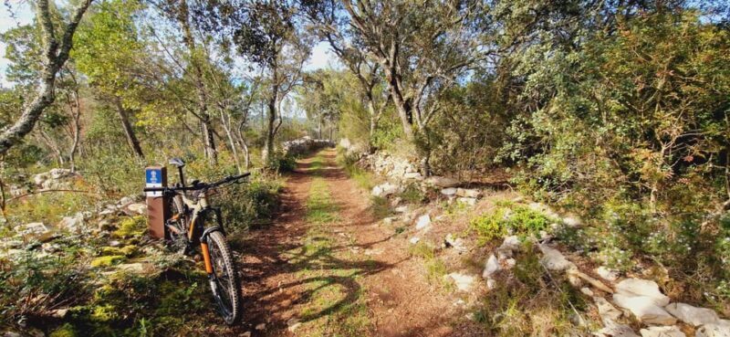 Fátima: Caves & Tradition E-bike Tour - Frequently Asked Questions