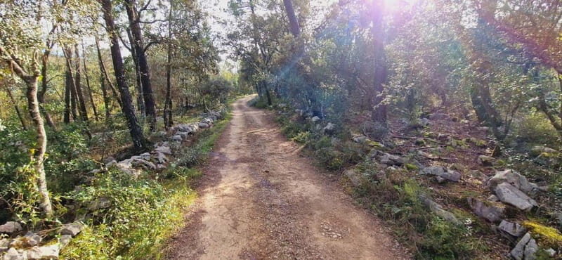 Fátima: E-Bike Tour to Dinosaur Footprints Natural Monument - A Practical, Enjoyable Ride Through Portugal’s Prehistoric Past