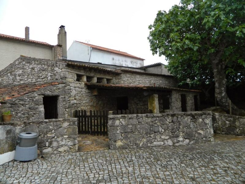 Fatima Spiritual Full Day Private Tour from Lisbon - Final Thoughts