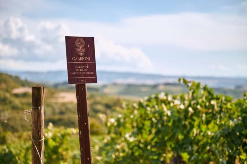 Fattoria La Leccia, Monterspertoli: vineyard walk & tasting - Key Points
