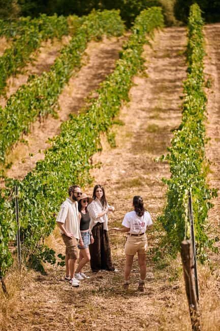 Fattoria La Leccia, Monterspertoli: vineyard walk & tasting - What to Expect: Practical Details