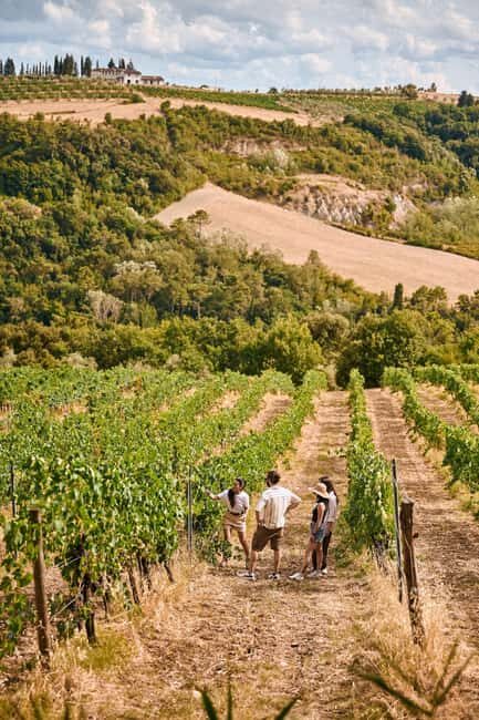 Fattoria La Leccia, Monterspertoli: vineyard walk & tasting - FAQ
