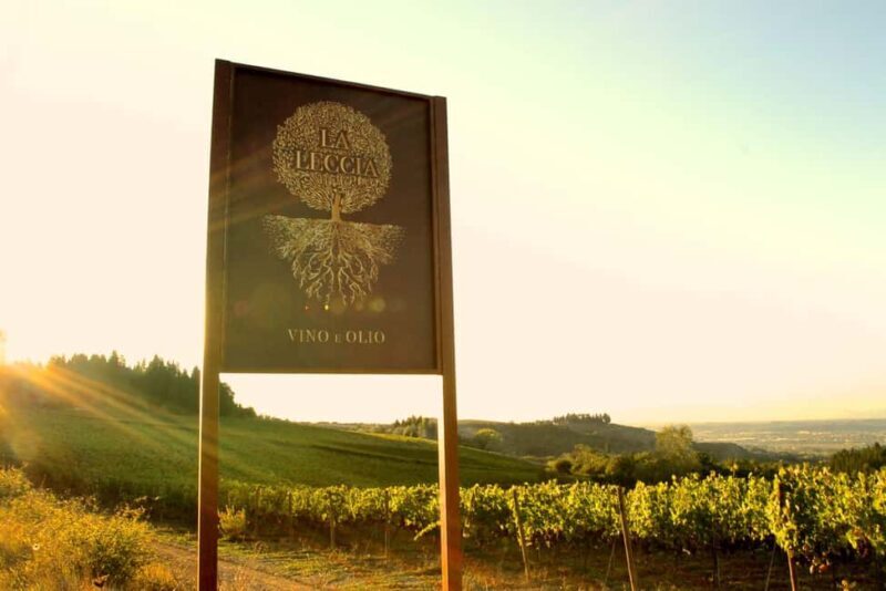 Fattoria La Leccia: Winery Tour and Tastings in Montespertoli - Exploring the Heart of Tuscany’s Winemaking at Fattoria La Leccia