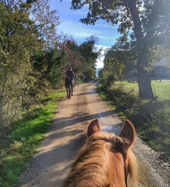 Fattoria Tègoni: horseback riding in Tuscany - A Closer Look at the Fattoria Tègoni Experience