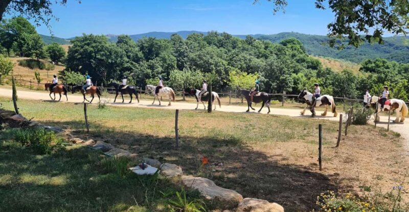 Fattoria Tègoni: horseback riding in Tuscany - The Sum Up