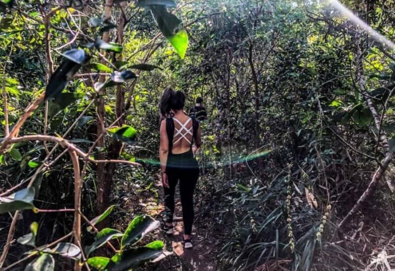 Favela Tour - Amanhecer no Morro Dois Irmãos - Favela Tour - Amanhecer no Morro Dois Irmãos