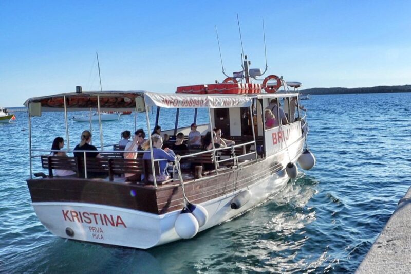 Fazana: dolphin safari and sightseeing in Brijuni at sunset - An In-Depth Look at the Dolphin Safari Experience