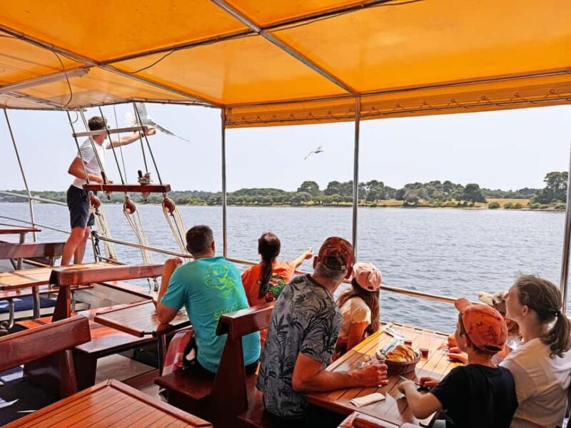 Fazana: Eco Friendly Brijuni Dolphins with Dinner & Drinks - Itinerary Breakdown: What You’ll Experience