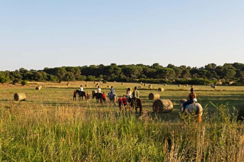 Fazana: Sunset 1-hour Horse Riding in Nature with Guide - What to Expect from the Fažana Horse Riding Tour