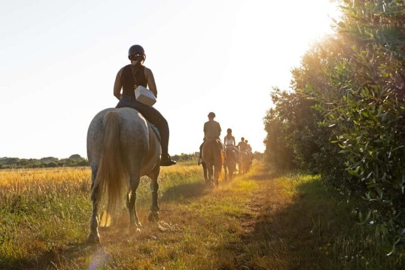 Fazana: Sunset 1-hour Horse Riding in Nature with Guide - Pricing and Value