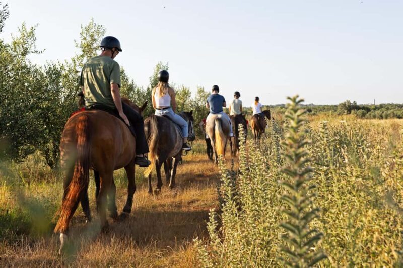 Fazana: Sunset 1-hour Horse Riding in Nature with Guide - Authentic Feedback from Riders