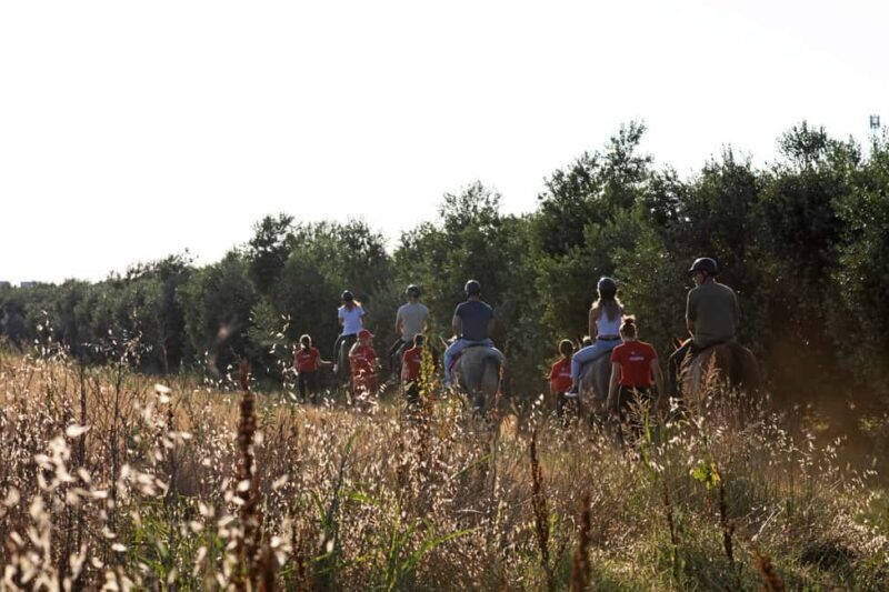 Fazana: Sunset 1-hour Horse Riding in Nature with Guide - The Sum Up: Is It Worth It?