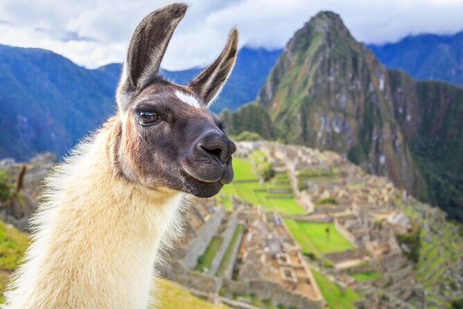 FD Machu Picchu: Tour & Machu Picchu Mountain from Cusco - Key Points