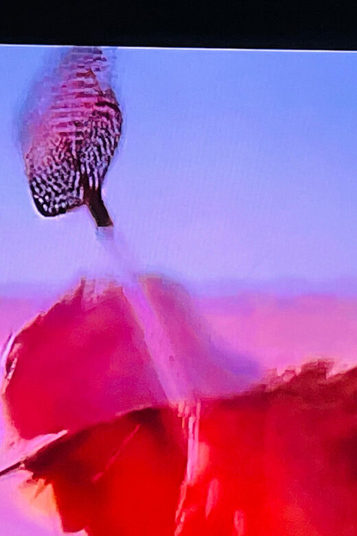 Fear And Loathing Experience! - Key Points