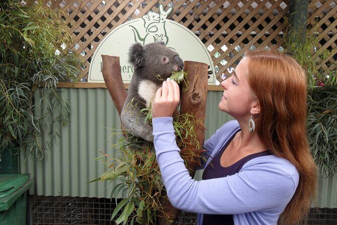 Featherdale Wildlife Park with Exclusive Private Transfers - What We Loved Most