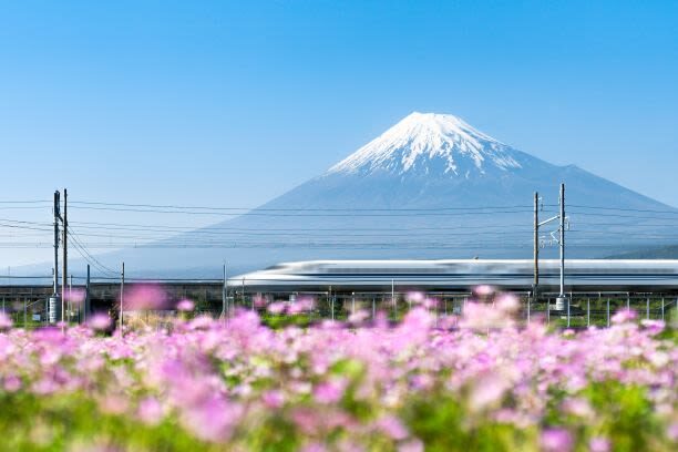 Feel Mt.Fuji and Sake tasting 1D Private Tour in Shizuoka - Hiroshige’s colors, applied one at a time