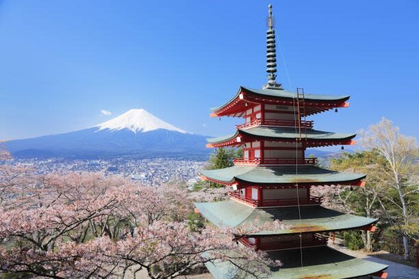 Feel Mt.Fuji and Sake tasting 1D Private Tour in Shizuoka - Sengen Taisha and the water at Wakutama Pond