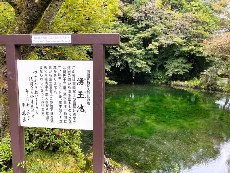 Feel Mt.Fuji and Sake tasting 1D Private Tour in Shizuoka - Sake made with Fuji spring water