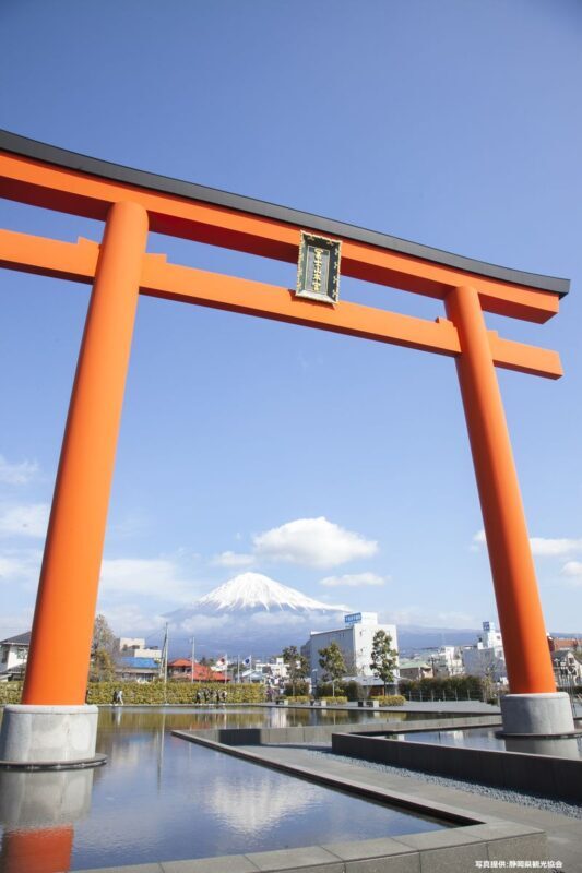 Feel Mt.Fuji and Sake tasting 1D Private Tour in Shizuoka - What the price covers, and who gets good value