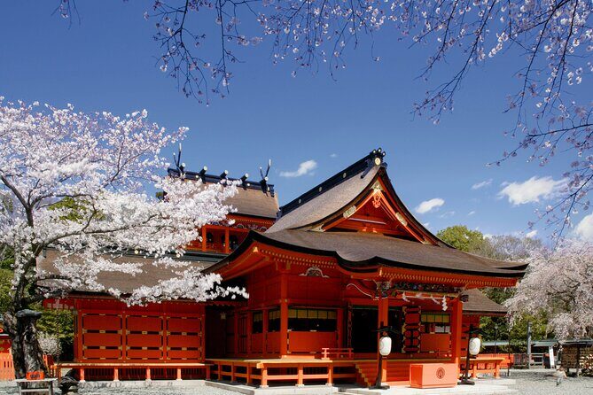 Feel Mt Fuji and Sake Tasting Private Tour from in Shizuoka - Why This Tour Stands Out