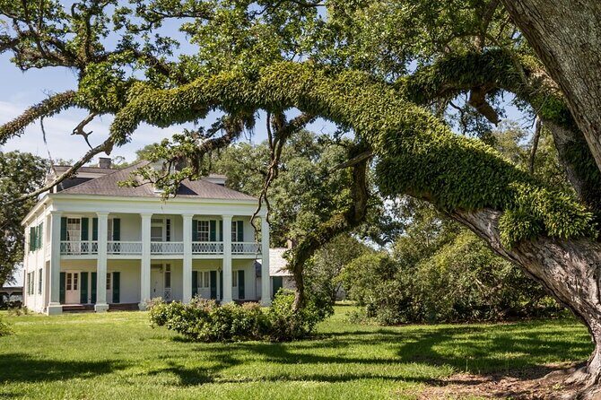 Felicity Plantation Tour - Key Points