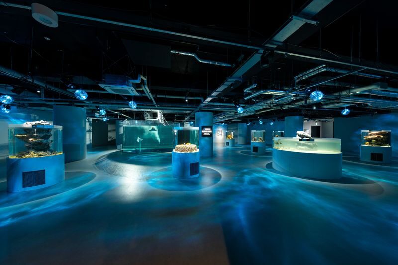 Felissimo Chocolate Museum Admission Ticket in Kobe - Tickets, timing, and a few useful rules