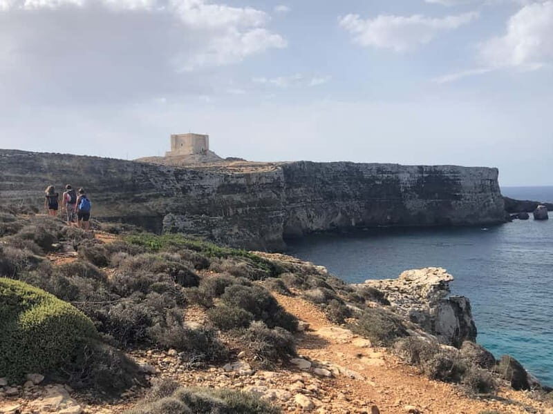 Fernandes Cruise to Blue Lagoon in Comino and Gozo (VTT) - Who Should Consider This Tour?