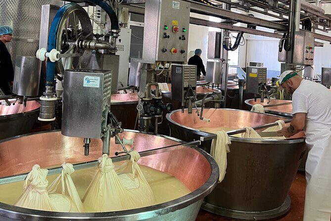 Ferrari, Parmesan and Balsamic Day Tour from Bologna - A Day in Emilia-Romagna: Ferrari, Parmesan, and Balsamic