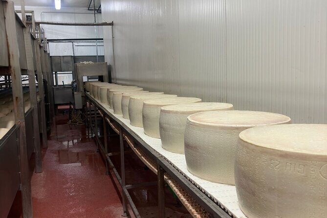Ferrari, Parmesan and Balsamic Day Tour from Bologna - Who Would Love This Tour?