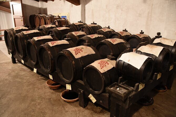 Ferrari Parmesan Cheese Balsamic Vinegar wine & food PRIVATE TOUR from FLORENCE - In The Sum Up