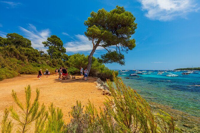 Ferry from Cannes to the island Ste Marguerite - Who Will Love This Trip?