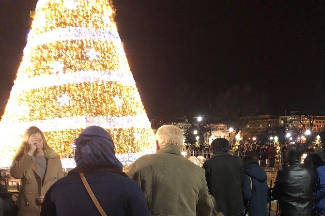 Festival Of Lights Night Tour - Key Points