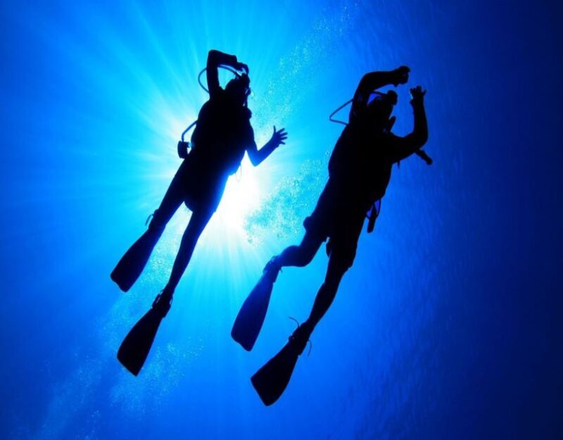 Fethiye: 2 Guided Scuba Dives with Lunch and Hotel Transfers - Key Points