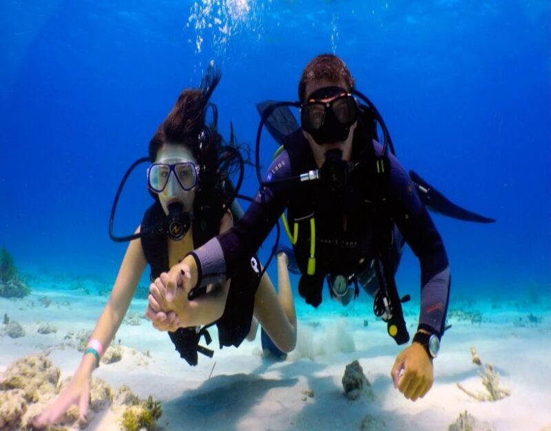 Fethiye: 2 Guided Scuba Dives with Lunch and Hotel Transfers - An Honest Look at the Fethiye Scuba Tour