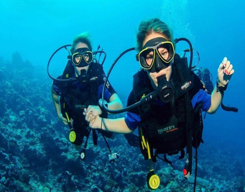Fethiye: 2 Guided Scuba Dives with Lunch and Hotel Transfers - Authentic Reviews That Speak for Themselves