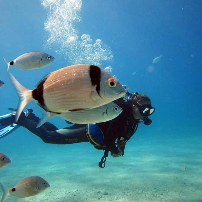 Fethiye: Fly and Dive, Paragliding and Scuba Diving Together, Transfer Included - An In-Depth Look at the Fethiye Fly and Dive Tour