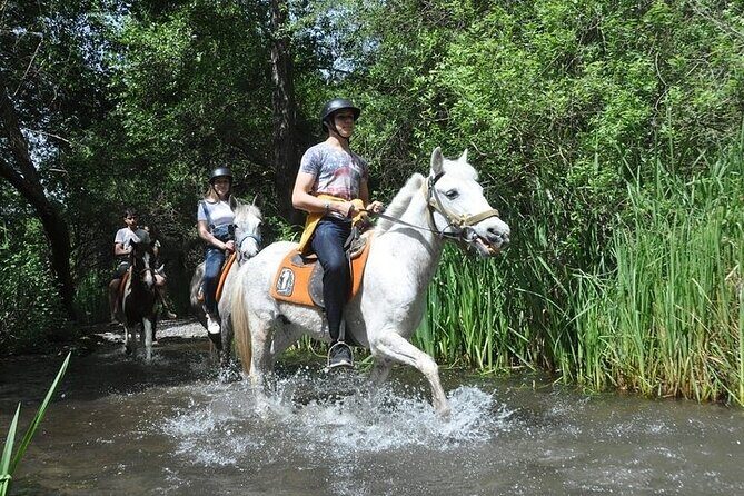 Fethiye Horse Riding Experience - Final Thoughts