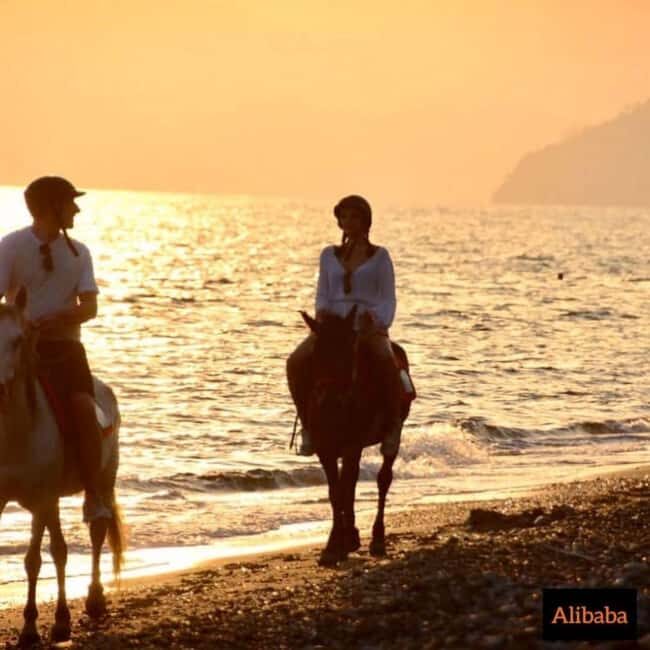 Fethiye Horse Riding in the Sea, Botanical Forest, Beach and Coastal Horseback Riding - A Deep Dive into the Fethiye Horseback Riding Experience