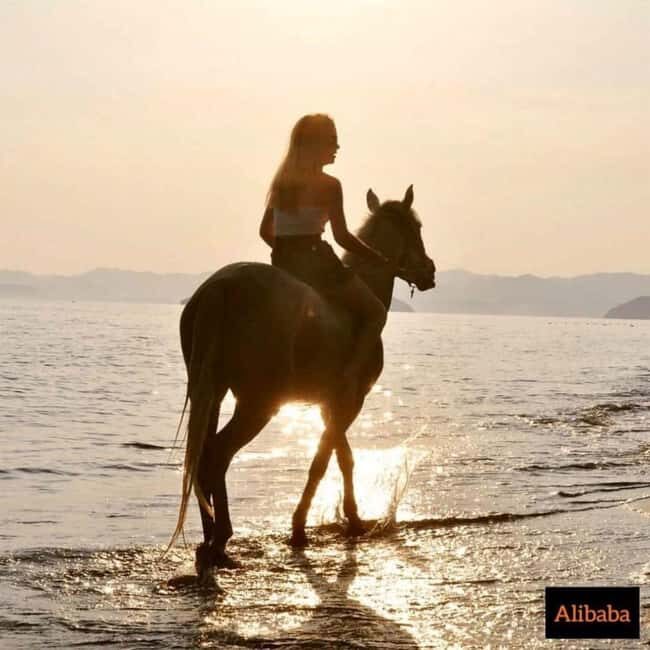 Fethiye Horse Riding in the Sea, Botanical Forest, Beach and Coastal Horseback Riding - FAQs