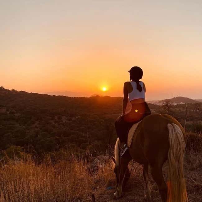 Fethiye Horse Safari Tour, Forest and Hisaronu View - What Past Travelers Say
