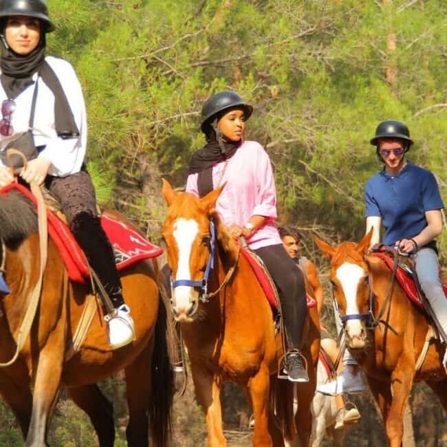 Fethiye Horse Safari Tour, Forest and Hisaronu View - Who Should Consider This Tour?