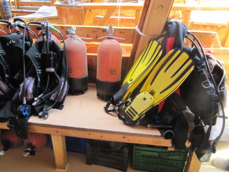 Fethiye: Professional Scuba Diving with Lunch - What to Expect from the Fethiye Scuba Tour
