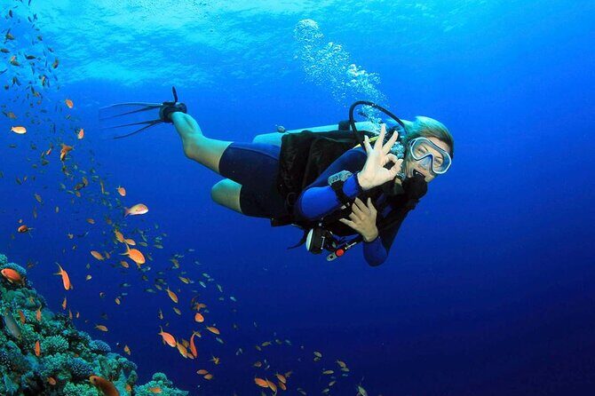 Fethiye Scuba Diving Experience By A Local Expert - Experience Fethiye’s Underwater World with a Local Expert