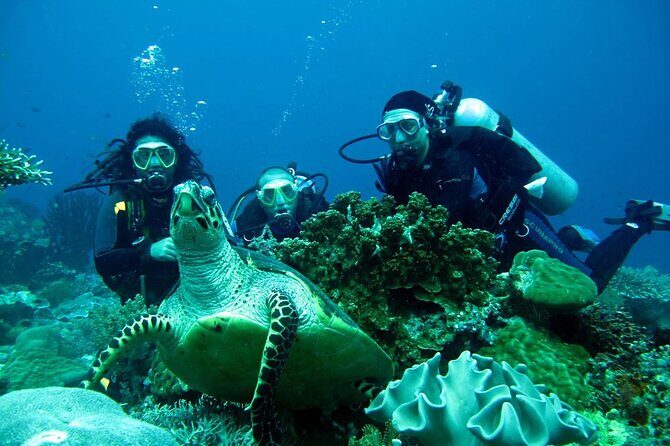 Fethiye Scuba Diving Experience By A Local Expert - In-Depth Review of the Fethiye Scuba Diving Tour