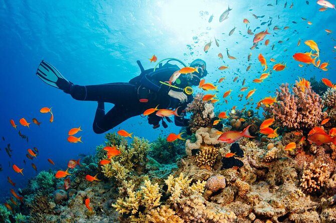 Fethiye Scuba Diving Experience By A Local Expert - FAQ