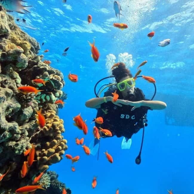 Fethiye Scuba Diving Tour: Free Shuttle Service - Lunch Included - Exploring the Details of the Fethiye Scuba Diving Tour