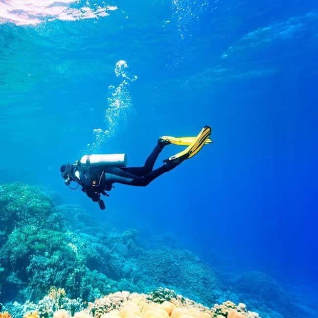 Fethiye Scuba Diving Tour: Free Shuttle Service - Lunch Included - Who Should Consider This Experience?