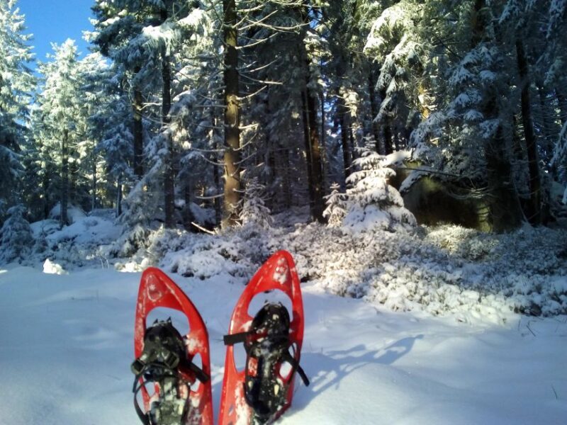 Fichtelgebirge: snowshoe hike - Experience the Fichtelgebirge Snowshoe Hike